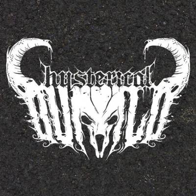 logo Hysterical Buffalo